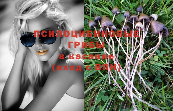 винт Верхний Тагил